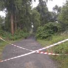 Fotka nr 2 z 10