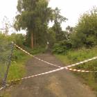 Fotka nr 5 z 10