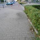 Fotka nr 1 z 21