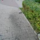 zdjęcie nr 17