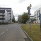 zdjęcie nr 13