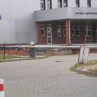 zdjęcie nr 42