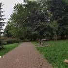 zdjęcie nr 13