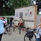 zdjęcie nr 181