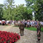 zdjęcie nr 260