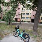 Fotka nr 4 z 17