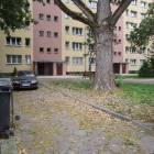 zdjęcie nr 7