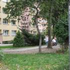 zdjęcie nr 8