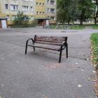 Fotka nr 4 z 7