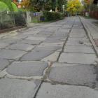 zdjęcie nr 8