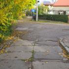 zdjęcie nr 13