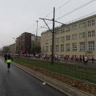 zdjęcie nr 116