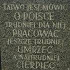 Fotka nr 4 z 213