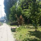 zdjęcie nr 44