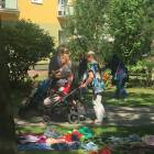 zdjęcie nr 12