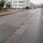 zdjęcie nr 8