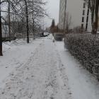 zdjęcie nr 7
