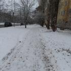 zdjęcie nr 14