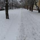 zdjęcie nr 15