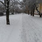 zdjęcie nr 16