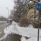 zdjęcie nr 20