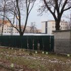 zdjęcie nr 8