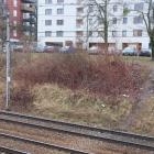 Fotka nr 2 z 18