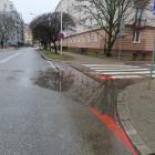 zdjęcie nr 44