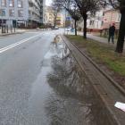 zdjęcie nr 47