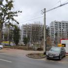 zdjęcie nr 10