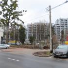 zdjęcie nr 11