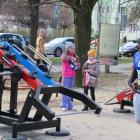 zdjęcie nr 185