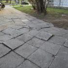 zdjęcie nr 21