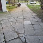 zdjęcie nr 22