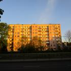 zdjęcie nr 8