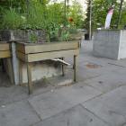 zdjęcie nr 17