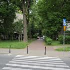 zdjęcie nr 16
