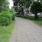 zdjęcie nr 22