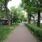 zdjęcie nr 24