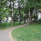 zdjęcie nr 33