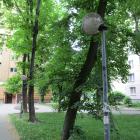 zdjęcie nr 36