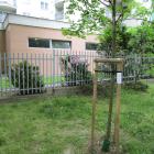 zdjęcie nr 38