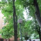zdjęcie nr 40