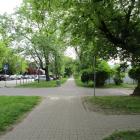 zdjęcie nr 51