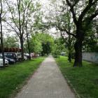zdjęcie nr 52