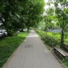 zdjęcie nr 53