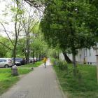 zdjęcie nr 54