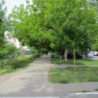 zdjęcie nr 55