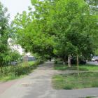 zdjęcie nr 56
