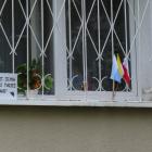 zdjęcie nr 33